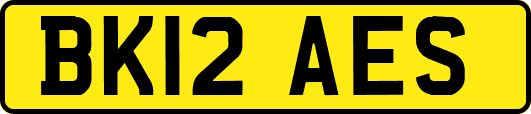 BK12AES