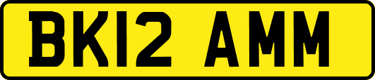 BK12AMM