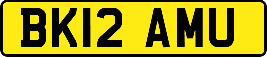 BK12AMU