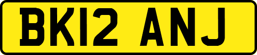 BK12ANJ