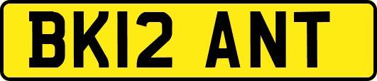 BK12ANT