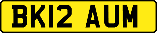 BK12AUM