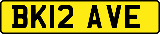 BK12AVE