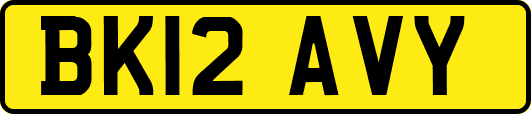 BK12AVY