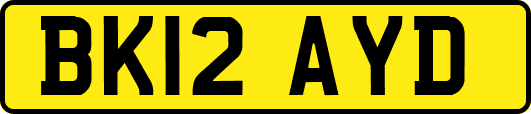BK12AYD
