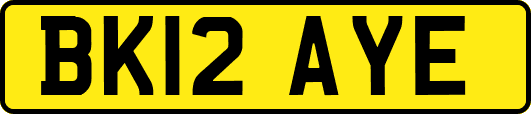 BK12AYE