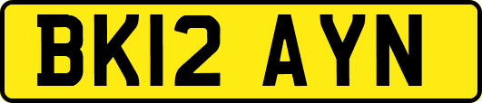 BK12AYN