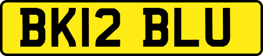 BK12BLU