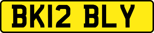 BK12BLY