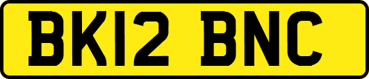 BK12BNC
