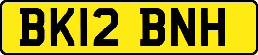 BK12BNH