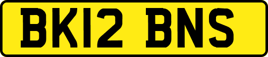 BK12BNS
