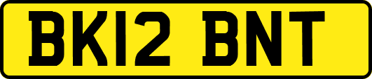 BK12BNT