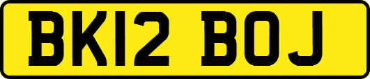 BK12BOJ