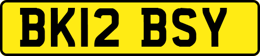 BK12BSY