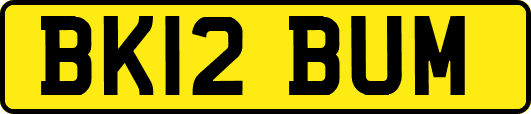 BK12BUM