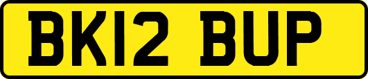 BK12BUP