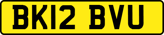 BK12BVU