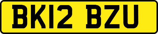 BK12BZU