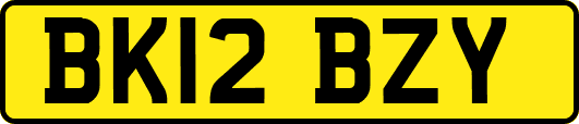BK12BZY