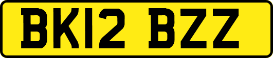 BK12BZZ
