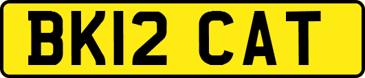BK12CAT
