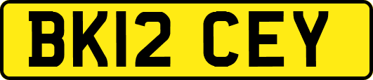 BK12CEY