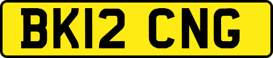 BK12CNG