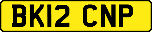 BK12CNP