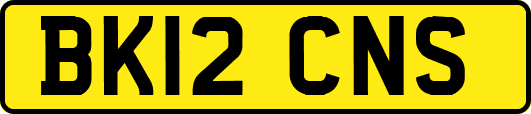 BK12CNS