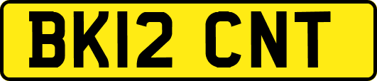 BK12CNT