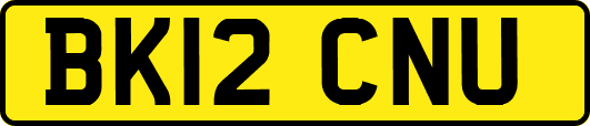 BK12CNU