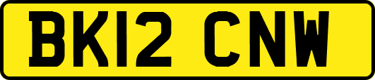 BK12CNW