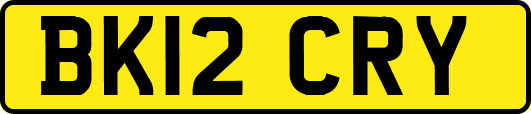 BK12CRY