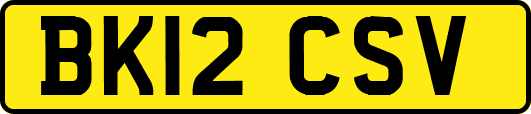 BK12CSV