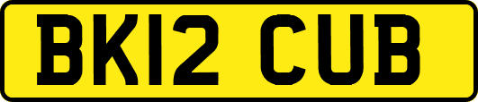 BK12CUB