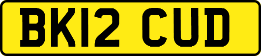 BK12CUD