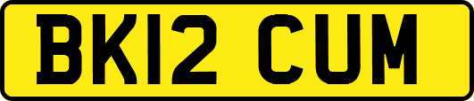 BK12CUM