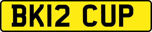 BK12CUP
