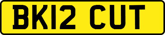 BK12CUT