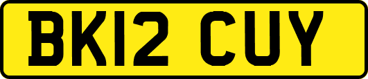 BK12CUY