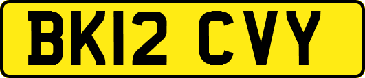 BK12CVY