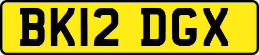 BK12DGX