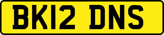 BK12DNS