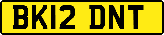 BK12DNT