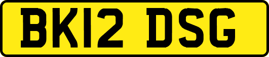 BK12DSG