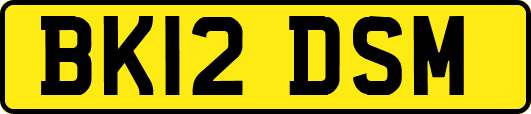 BK12DSM