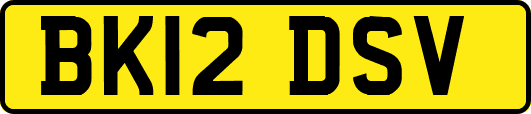 BK12DSV