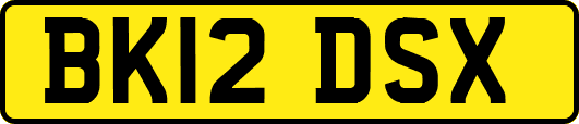 BK12DSX