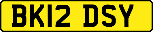 BK12DSY